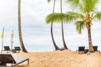 Apartamento en Primera Línea de Playa en Samaná
