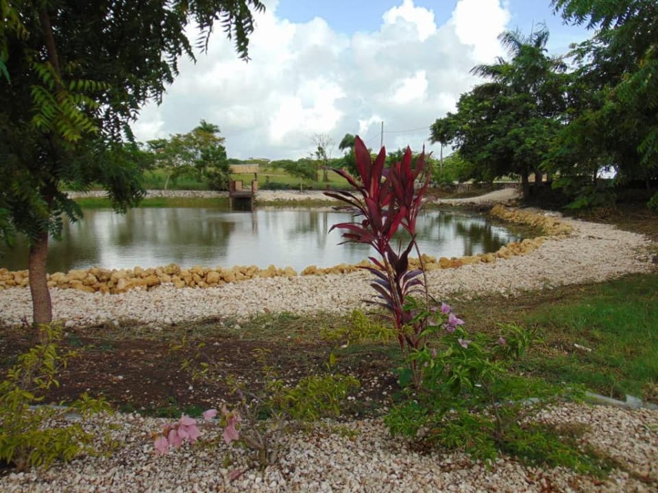 Land for sale in El Macao, Higüey