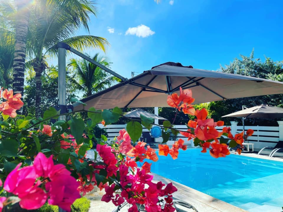 19-bedroom apartment for sale or rent in El Ejecutivo, Bávaro