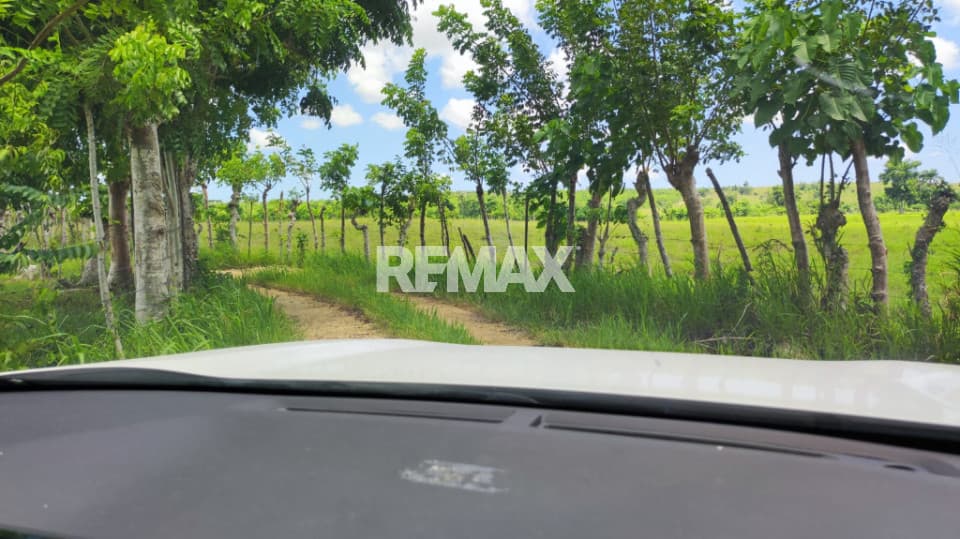 Land for sale in Jobo Jagüey, Higüey
