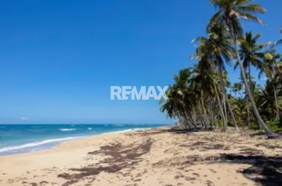 Land for sale in El Macao, Higüey
